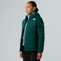 Geacă cu puf pentru femei The North Face Abseil Stretch Down Hoodie hunter green 4