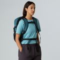 Rucsac urban The North Face Borealis Classic 29 l spațiu/negru 8
