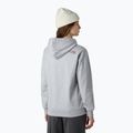 Bluză pentru femei The North Face Drew Peak Pullover Hoodie lightgreyheather/tawnyquartz 3