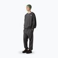 Pantaloni pentru bărbați The North Face Expedition Celebration Relaxed Jogger Reg anthracite grey 2