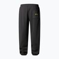 Pantaloni pentru bărbați The North Face Expedition Celebration Relaxed Jogger Reg anthracite grey 5