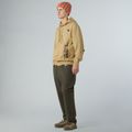 Bluză pentru bărbați The North Face Mountain Logo Relaxed Hooded khaki stone 2