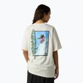 Tricou pentru bărbați The North Face NSE Slopes Relaxed Tee Graphic white dune 3