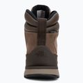 Încălțăminte pentru bărbați The North Face Back To Berkeley IV Leather WP demitasse brown/garnet 6