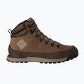Încălțăminte pentru bărbați The North Face Back To Berkeley IV Leather WP demitasse brown/garnet 8