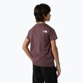 Tricou pentru copii The North Face Simple Dome tawny quartz 5