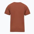 Tricou termic pentru bărbați Smartwool Merino Sport 120 burnt sienna 2