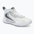 Încălțăminte de volei Nike Hyperset 2 SE smmit white/metalic silver/pure platinum