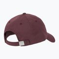 Femei New Balance 6 Panel Linear Logo fadedplu baseball cap 2