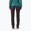 Pantaloni pentru femei Patagonia Terravia Alpine Pants black w/ink black 3