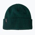 Căciulă de iarnă Patagonia Brodeo Beanie cascade green