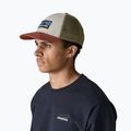 Șapcă Patagonia P-6 Logo LoPro Trucker birch white 2