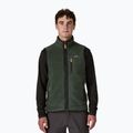 Vesta pentru bărbați Patagonia Retro Pile Fleece old growth green