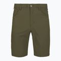 Pantaloni scurți de trekking pentru bărbați Patagonia Quandary Basin Green
