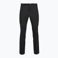 Pantaloni de trekking pentru bărbați Patagonia Terravia Alpine black