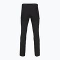 Pantaloni de trekking pentru bărbați Patagonia Terravia Alpine black 2