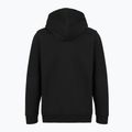 Bluză pentru bărbați Patagonia '95 Oval Logo Uprisal Hoody Black: Kaleido 2