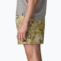 Pantaloni scurți pentru bărbați Patagonia Baggies 5" shelly shelly/mellow melon 5