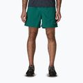 Pantaloni scurți pentru bărbați Patagonia Baggies 5" 95 oval logo/gem green