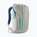 Rucsac urban Patagonia Black Hole Pack 25 l birch white