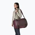 Geantă de călătorie Patagonia Black Hole MLC 45 l berry fig 5