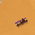 Tricou pentru bărbați Patagonia '73 Skyline T-Shirt dried mango 3