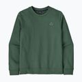 Bluză pentru bărbați Patagonia Fitz Roy Massif Daily Crew Canopy Green