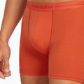 Pantaloni scurți boxeri termici pentru bărbați icebreaker Anatomica fervid 5
