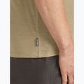 Tricou pentru bărbați icebreaker Merino 150 Tech Lite Ruapehu Round flagstone 5