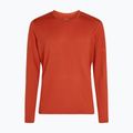 Longsleeve termoactiv pentru bărbați icebreaker 200 Oasis Crewe agate 7
