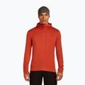 Men's Icebreaker Merino 260 Quantum IV Zip Hoodie agate