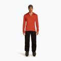 Men's Icebreaker Merino 260 Quantum IV Zip Hoodie agate 2