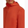 Men's Icebreaker Merino 260 Quantum IV Zip Hoodie agate 8