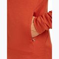 Men's Icebreaker Merino 260 Quantum IV Zip Hoodie agate 9