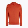 Men's Icebreaker Merino 260 Quantum IV Zip Hoodie agate 10
