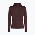 Bluză de trekking pentru bărbați icebreaker Merino 200 RealFleece Descender Zip Hoodie java 10