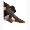 Șosete de schi pentru bărbați Icebreaker Merino Ski+ Medium OTC java/trail/seaglass 4