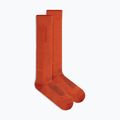 Șosete de schi pentru bărbați icebreaker Merino Ski+ Ultralight OTC fervid/agate 2