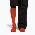 Șosete de schi pentru bărbați icebreaker Merino Ski+ Ultralight OTC fervid/agate 4