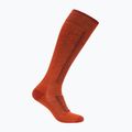 Șosete de schi pentru bărbați Icebreaker Merino Ski+ Medium OTC fervid/agate/java