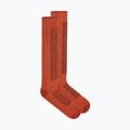 Șosete de schi pentru bărbați Icebreaker Merino Ski+ Medium OTC fervid/agate/java 2