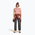 Tricou de trekking pentru femei icebreaker Merino 150 Tech Lite III Tee blush 4