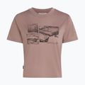 Tricou pentru femei icebreaker Merino 150 Tech Lite Crop The Climb summit 7