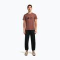 Tricou pentru bărbați icebreaker Merino Core Canoe Companions carob 2