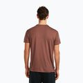 Tricou pentru bărbați icebreaker Merino Core Canoe Companions carob 3