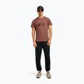 Tricou pentru bărbați icebreaker Merino Core Canoe Companions carob 4
