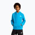 Bluză pentru copii The North Face Teen Box Nse Regular Hoodie meridian blue