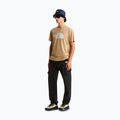 Tricou pentru bărbați The North Face Evolution Half Dome khaki stone 2