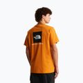 Tricou pentru bărbați The North Face Evolution Box NSE dust orange 3