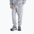 Pantaloni pentru bărbați The North Face Evolution Simple Dome Regular Jogger tnf pale grey h